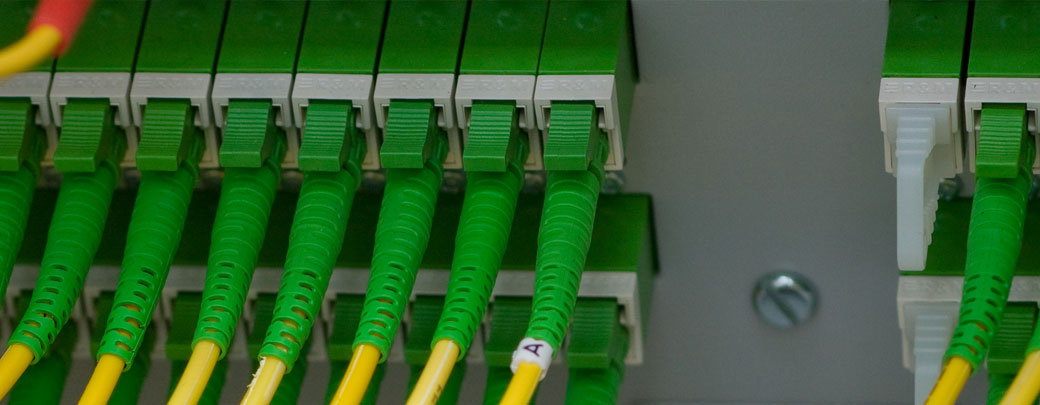 Netzwerkkabel, die in den passenden Anschlüssen stecken